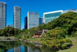 Circuito por Japón: Un viaje fotográfico (Otoño | Viaje de Autor)