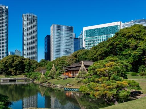 Circuito por Japón: Un viaje fotográfico (Otoño | Viaje de Autor)