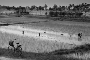Vietnam: Sonrisas del Mekong