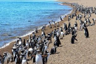 Explora Argentina en grupo: Iguazú, Ushuaia, el Calafate y más