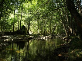 Rutas por Arenas de San Pedro (Valle del Tiétar) que ya no están disponibles