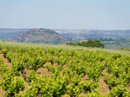 Rutas por Arribes del Duero que ya no están disponibles