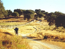 Rutas por Badajoz que ya no están disponibles