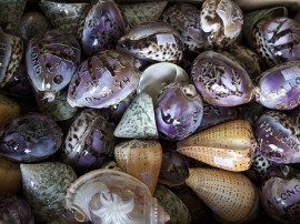 Rutas por Bahía de Ha-Long que ya no están disponibles