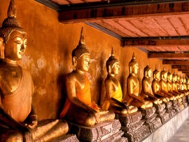 Circuitos por Bangkok organizados por agencias expertas