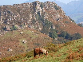Circuitos por Baztán organizados por agencias expertas