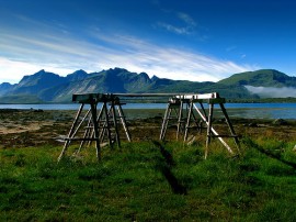 Circuitos por Bergen organizados por agencias expertas