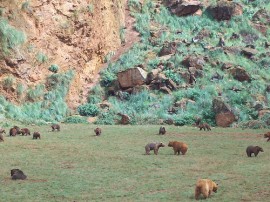 Rutas por Cabárceno que ya no están disponibles