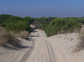 Rutas por Cádiz que ya no están disponibles