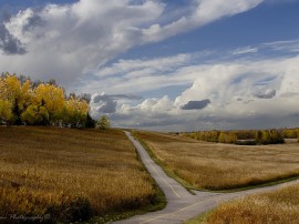 Circuitos por Calgary organizados por agencias expertas