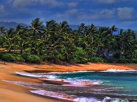 Circuitos por California y Hawai organizados por agencias expertas