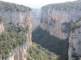 Circuitos por Camino de Santiago aragonés