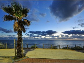 Circuitos por Cascais organizados por agencias expertas