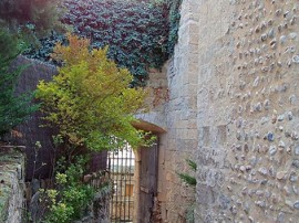 Circuitos por Ciudad Rodrigo