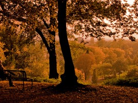 Circuitos por Colonia organizados por agencias expertas