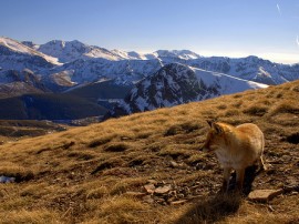 Rutas por Cordillera Cantábrica que ya no están disponibles