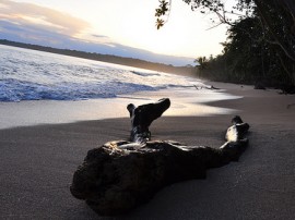 Rutas por Costa Caribe de Costa Rica que ya no están disponibles