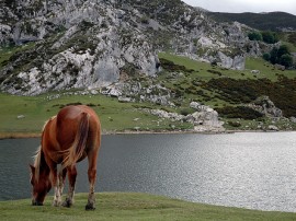 Circuitos por Covadonga