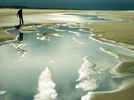 Circuitos por Doñana organizados por agencias expertas