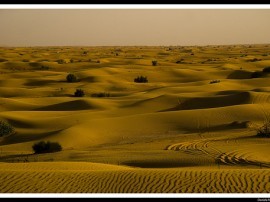 Circuitos por Dubai y Maldivas