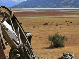 Rutas por El Calafate que ya no están disponibles