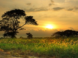 Rutas por Filipinas que ya no están disponibles