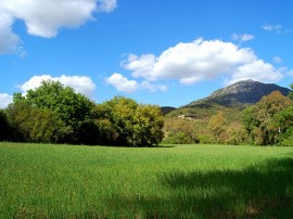 Rutas por Grazalema que ya no están disponibles
