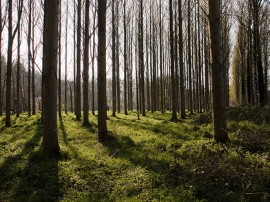 Circuitos por Irlanda del Norte organizados por agencias expertas