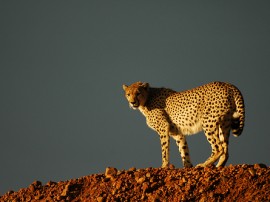 Rutas por Kenia que ya no están disponibles