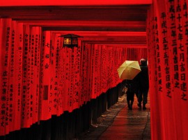 Circuitos por Kioto organizados por agencias expertas