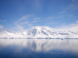 Circuitos por La Antártida organizados por agencias expertas