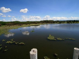 Circuitos por Lago Naivasha organizados por agencias expertas