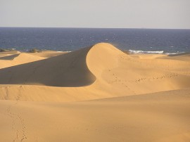 Circuitos por Las Palmas organizados por agencias expertas