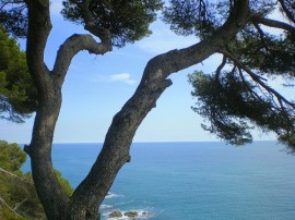 Rutas por Lloret de Mar que ya no están disponibles