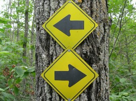 Circuitos por Manitoba organizados por agencias expertas