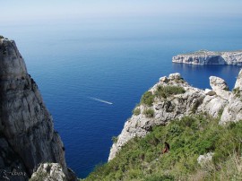 Circuitos por Marsella organizados por agencias expertas