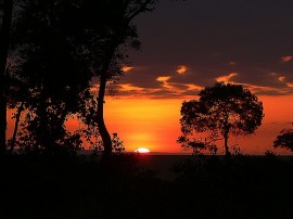 Circuitos por Masai Mara organizados por agencias expertas