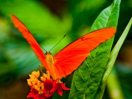 Circuitos por Maspalomas y Playa del Inglés