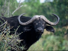 Rutas por Namibia, Botsuana y Sudafrica que ya no están disponibles