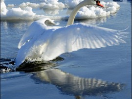 Rutas por Ontario que ya no están disponibles