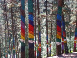 Circuitos por País Vasco organizados por agencias expertas