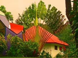 Rutas por Panamá que ya no están disponibles