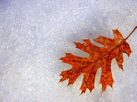 Rutas por Parque Nacional de Yosemite que ya no están disponibles