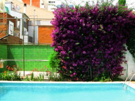 Rutas por Pineda de Mar que ya no están disponibles