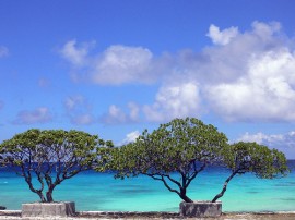 Circuitos por Polinesia Francesa organizados por agencias expertas