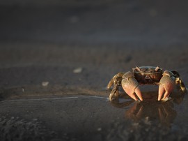 Circuitos por Punta del Este organizados por agencias expertas