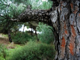 Rutas por Punta Umbría que ya no están disponibles