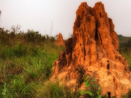 Rutas por República del Congo que ya no están disponibles