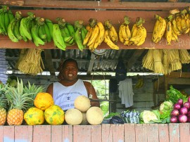 Rutas por República Dominicana que ya no están disponibles