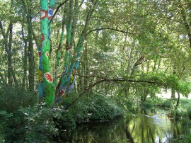 Circuitos por Ribeira Sacra (Cañón del Sil) organizados por agencias expertas